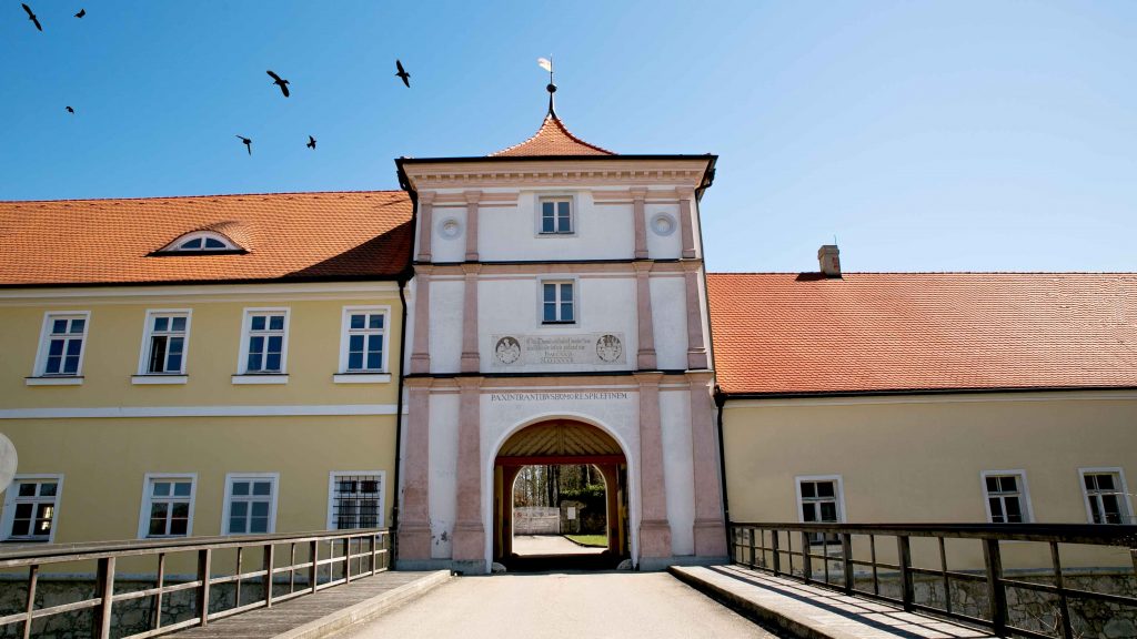 Die Unternehmen des Hauses Wallerstein