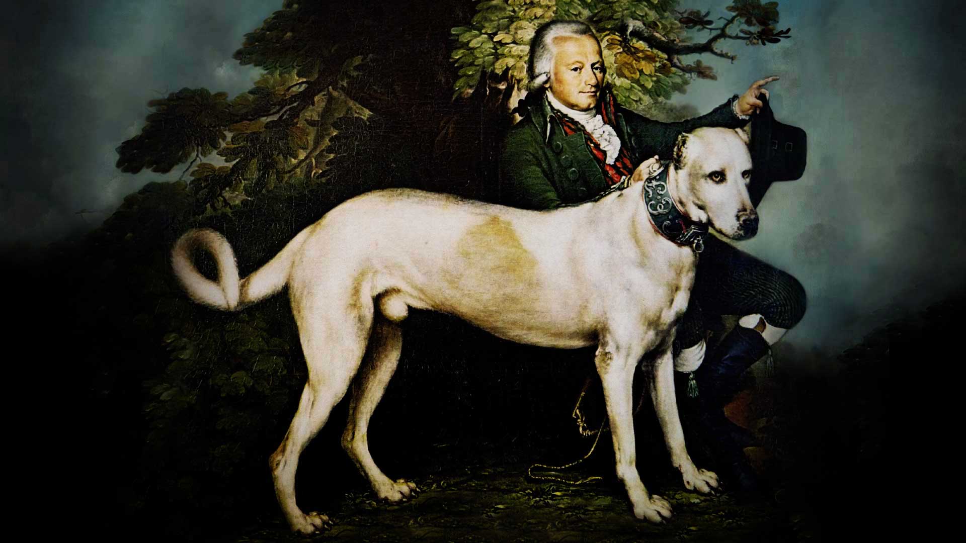 Die Fürstliche Familie Wallerstein