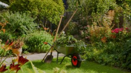 Mit Grünzeug beladener Schubkarren steht in einem Garten