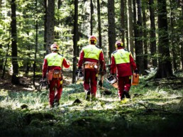 Drei Forstwirte in Arbeitskleidung im Wald