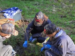 Schülerinnen pflanzen beim Girls’ Day junge Eichen auf einer Waldfläche für den klimaresistenten Waldumbau.