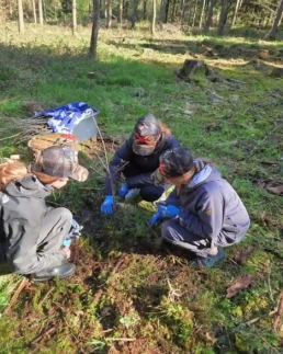 Schülerinnen pflanzen beim Girls’ Day junge Eichen auf einer Waldfläche für den klimaresistenten Waldumbau.